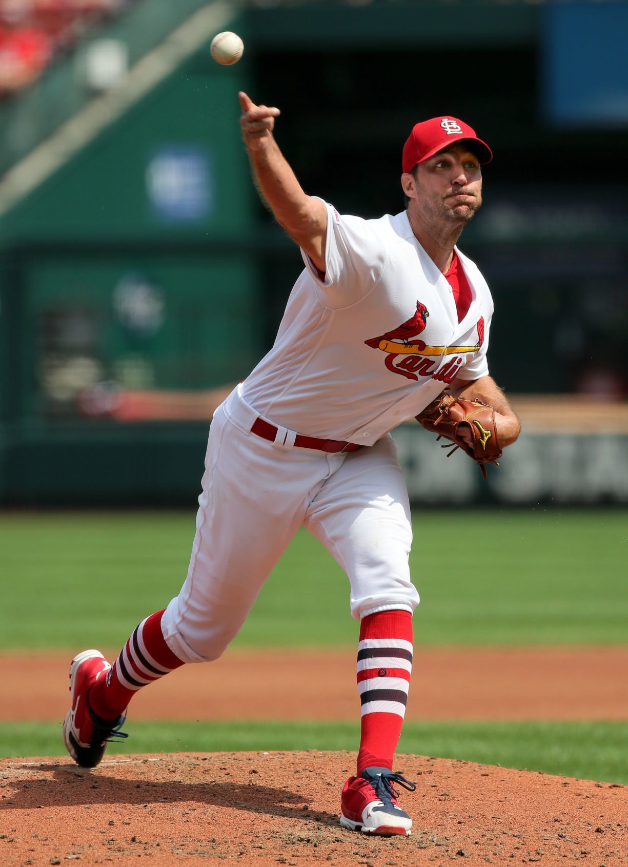 San Francisco Giants vs St. Louis Cardinals